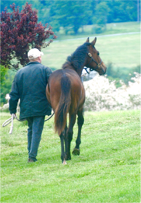 Make The Most Of Your Barn Help 